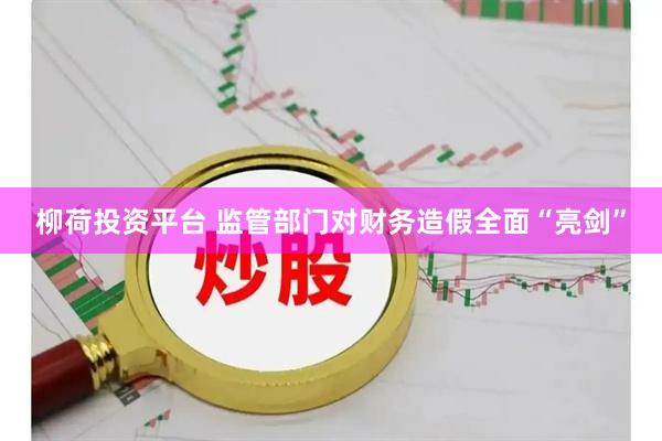 柳荷投资平台 监管部门对财务造假全面“亮剑”